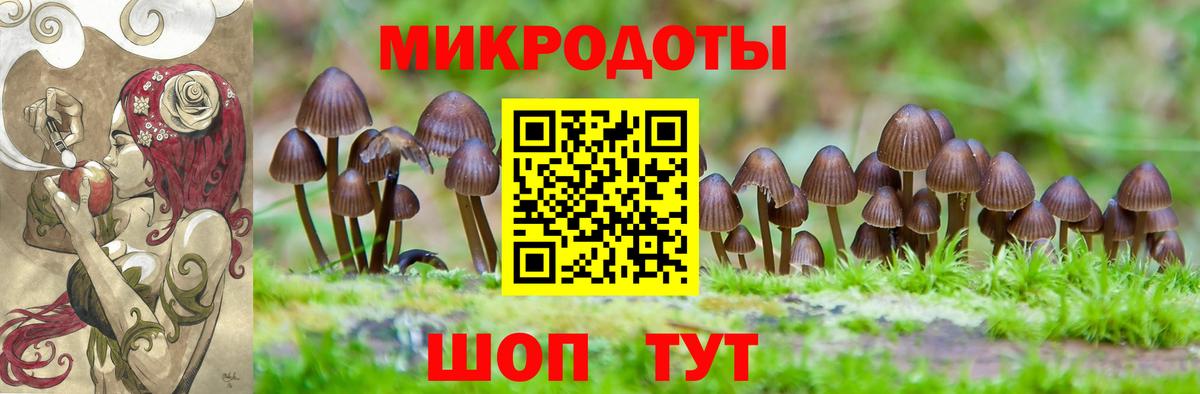 Галлюциногенные грибы Psilocybe  Псилоцибиновые грибы мухоморы  Красногорск  Вход с VPN 